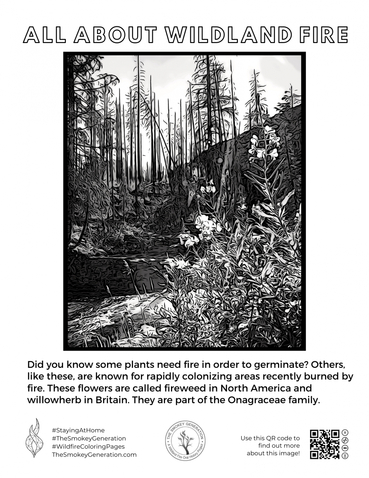 Wildland Fire Coloring Sheets